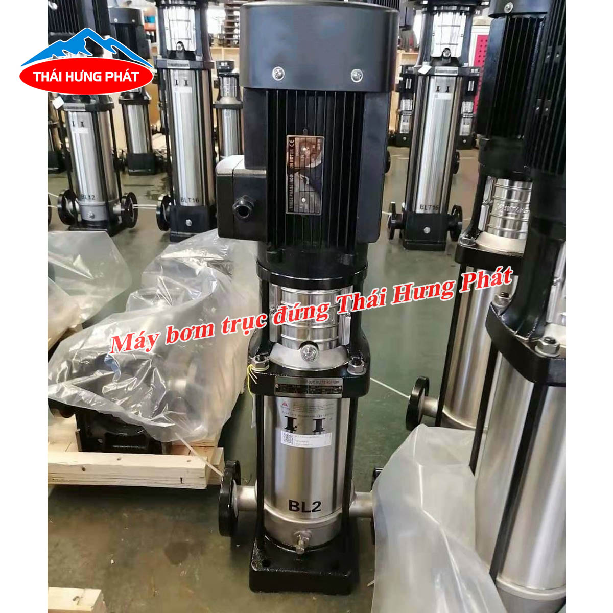 Có nên sử dụng bơm trục đứng không? Một số lưu ý khi sử dụng máy