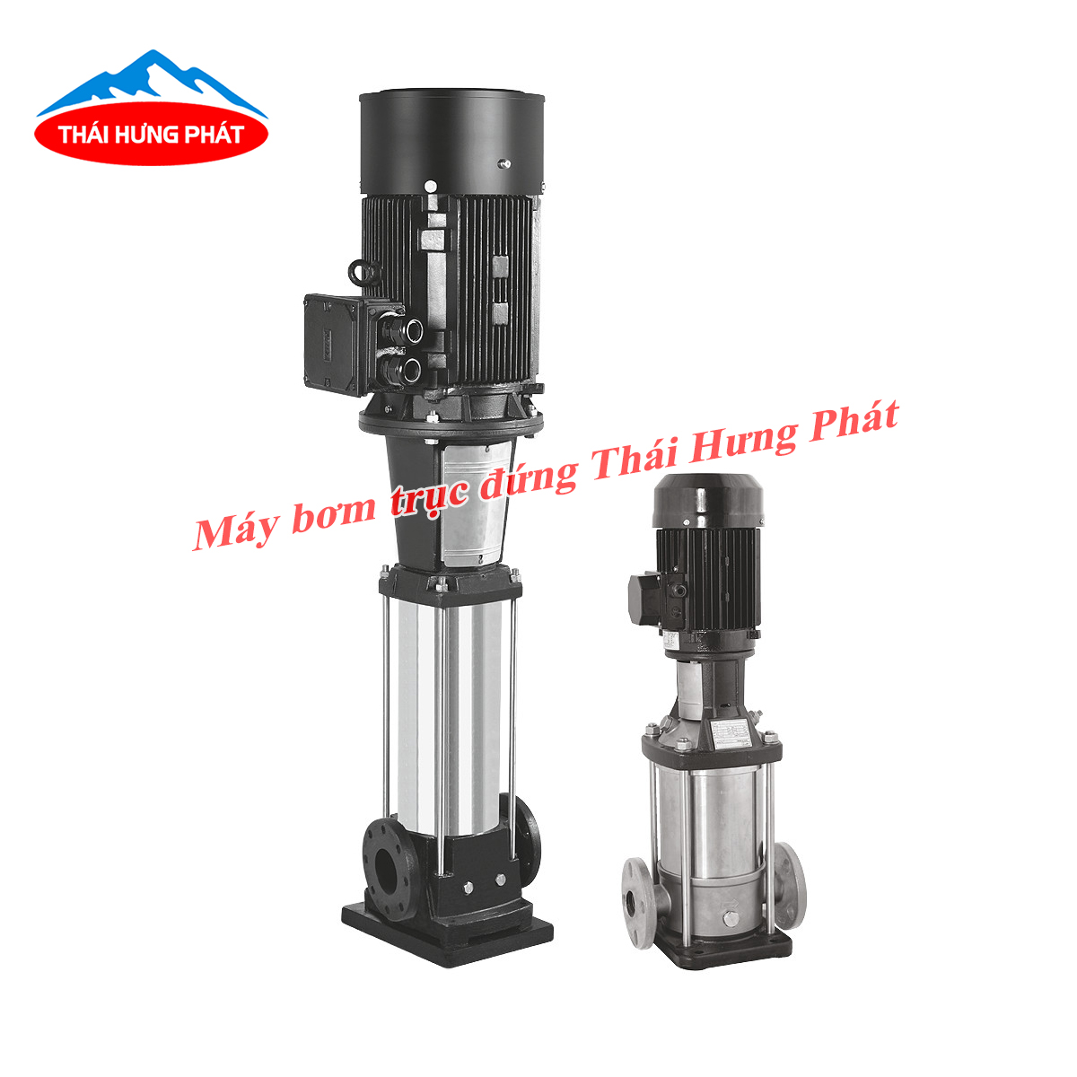 Giới thiệu một số thông tin dòng máy bơm trục đứng