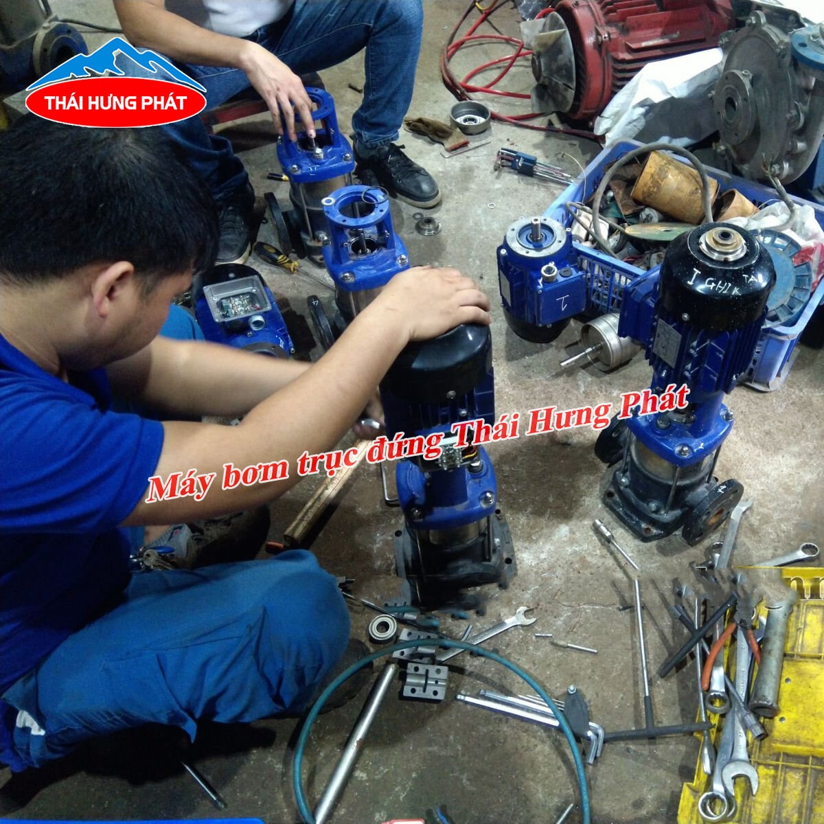 Hướng dẫn bảo dưỡng máy bơm trục đứng hiệu quả