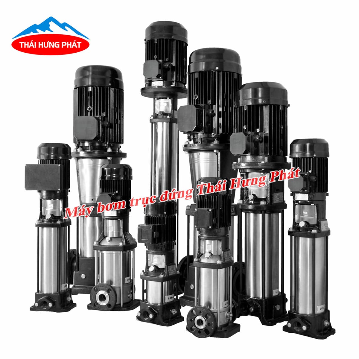 Kinh nghiệm mua máy bơm trục đứng chất lượng, giá tốt