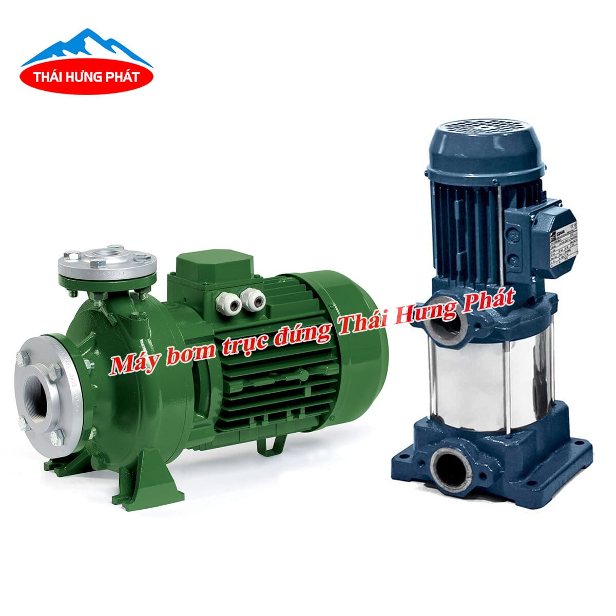 So sánh máy bơm trục đứng và máy bơm trục ngang chi tiết từ A-Z