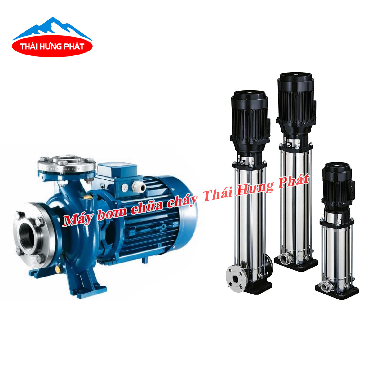 So sánh máy bơm trục đứng và máy bơm trục ngang chi tiết từ A-Z