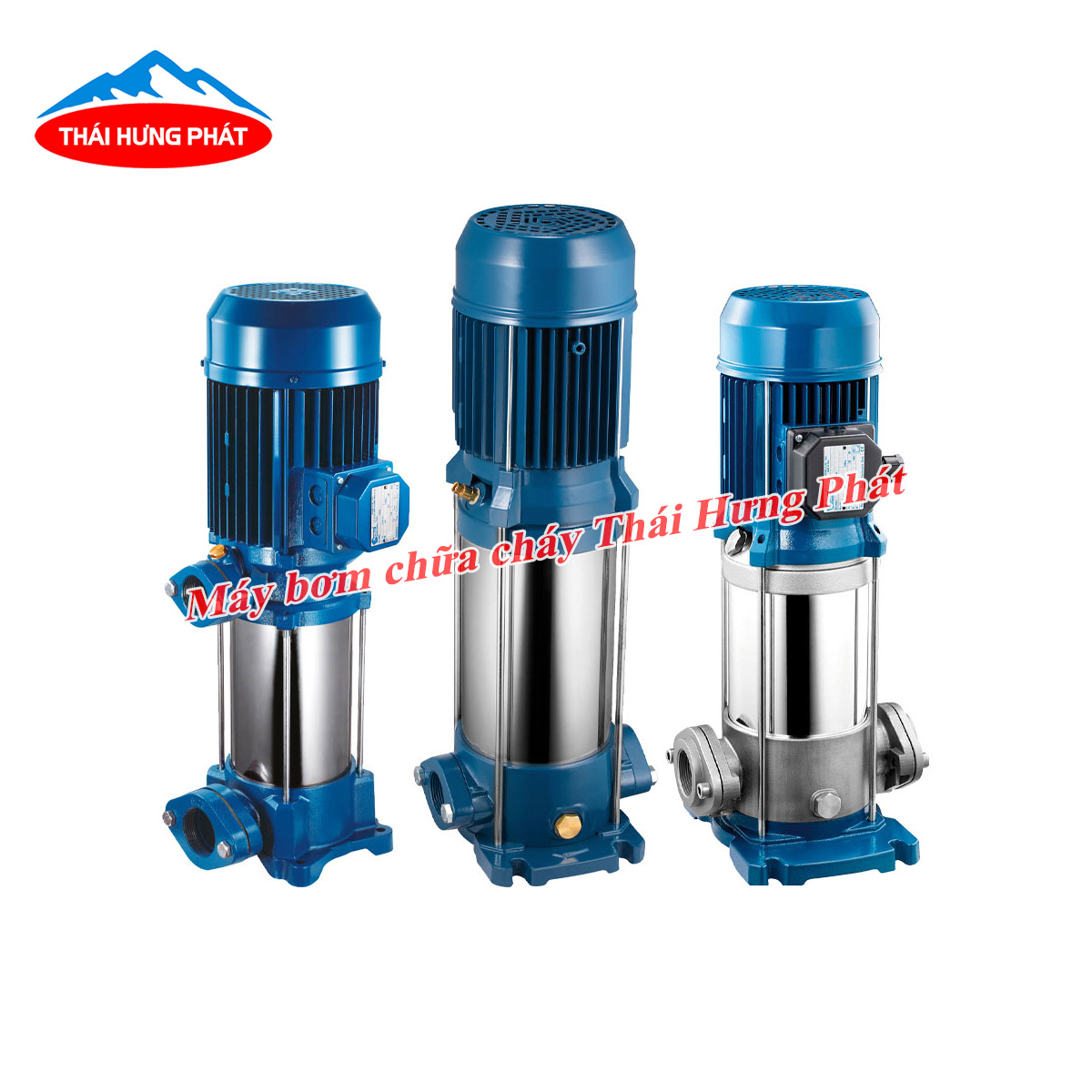 Đặc điểm, cấu tạo nguyên lý làm việc của bơm trục đứng Pentax