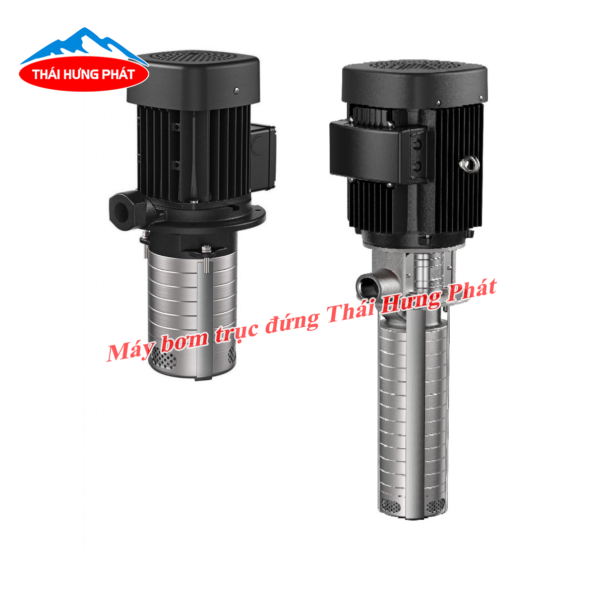 Tổng quan thông tin về máy bơm trục đứng đa tầng cánh