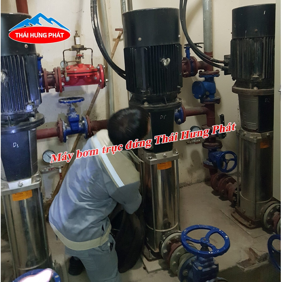 Vận hành máy bơm trục đứng an toàn, hiệu quả