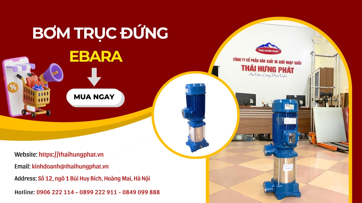 Bơm trục đứng Ebara EVMSG5 15F5/3.0 công suất 4HP(3kW)