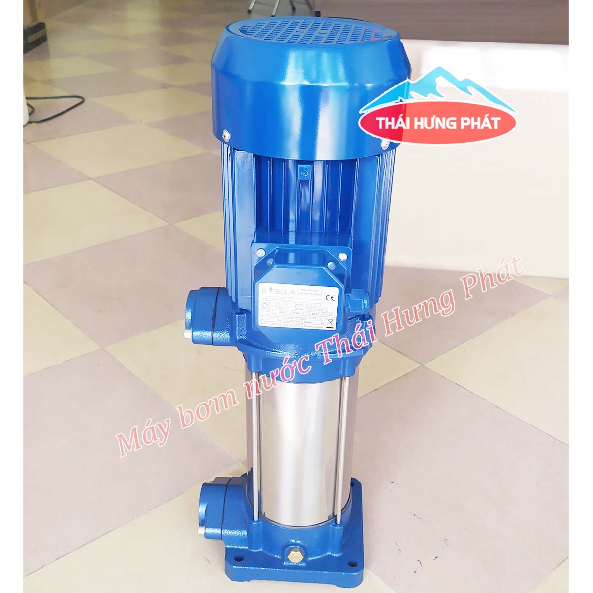 Tổng hợp các dòng bơm trục đứng bán chạy nhất tại Thái Hưng Phát