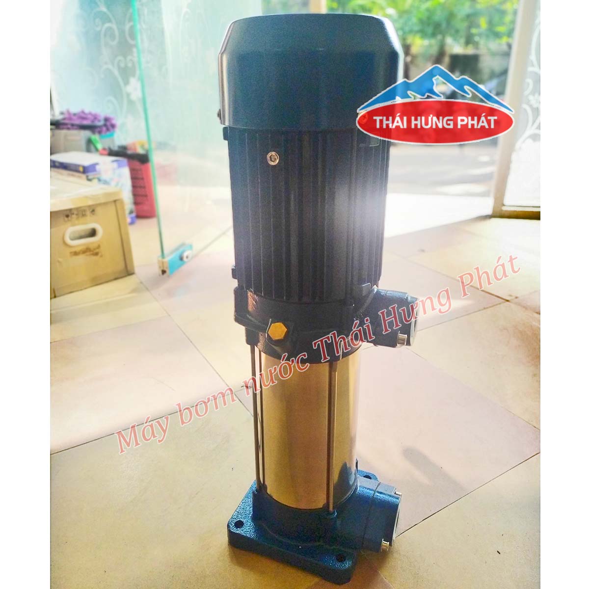 Tổng hợp tất cả thông tin về dòng máy bơm trục đứng Stella