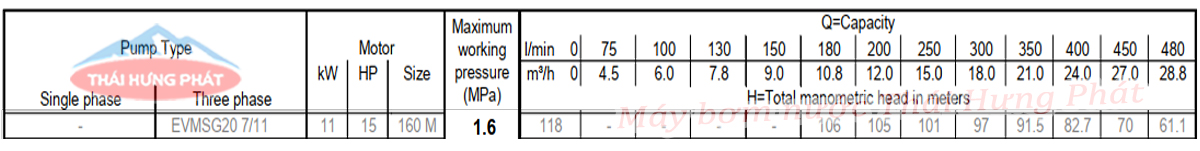 Máy bơm trục đứng Ebara EVMSG 20 7F5 Q1BEG E/11 15HP