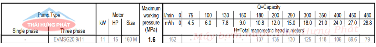 Máy bơm trục đứng Ebara EVMSG 20 9F5 Q1BEG E/11 15HP