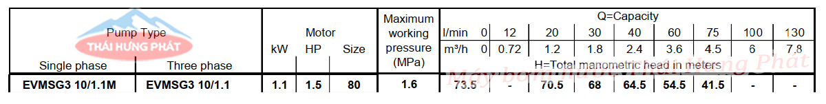 Máy bơm trục đứng Ebara EVMSG 3 10F5 Q1BEG E/1.1 1.5HP