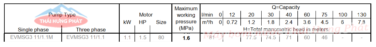 Máy bơm trục đứng Ebara EVMSG 3 11F5 Q1BEG E/1.1 1.5HP