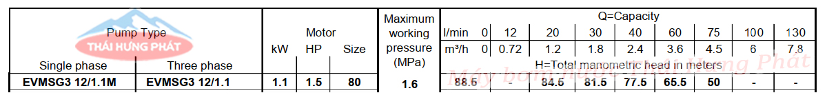 Máy bơm trục đứng Ebara EVMSG 3 12F5 Q1BEG E/1.1 1.5HP