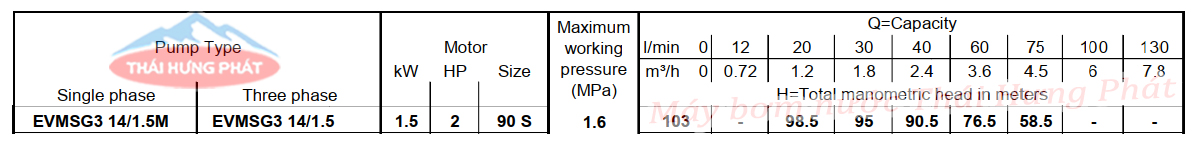 Máy bơm trục đứng Ebara EVMSG 3 14F5 Q1BEG E/1.5 2HP