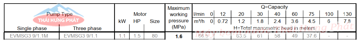 Máy bơm trục đứng Ebara EVMSG 3 9N5 Q1BEG E/1.1 1.5HP