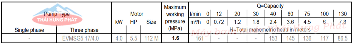 Máy bơm trục đứng Ebara EVMSG 5 17F5 Q1BEG E/4.0 5.5HP