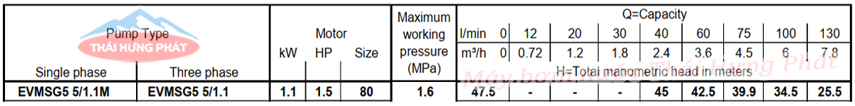 Máy bơm trục đứng Ebara EVMSG 5 5F5 Q1BEG E/1.1 1.5HP