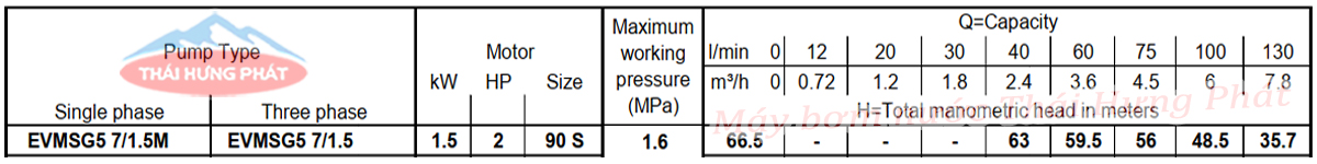 Máy bơm trục đứng Ebara EVMSG 5 7F5 Q1BEG E/1.5 2HP