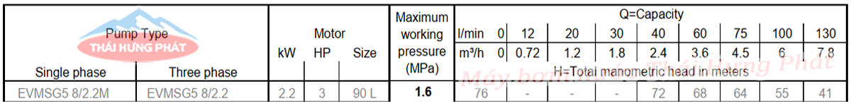 Máy bơm trục đứng Ebara EVMSG 5 8F5 Q1BEG E/2.2 3HP
