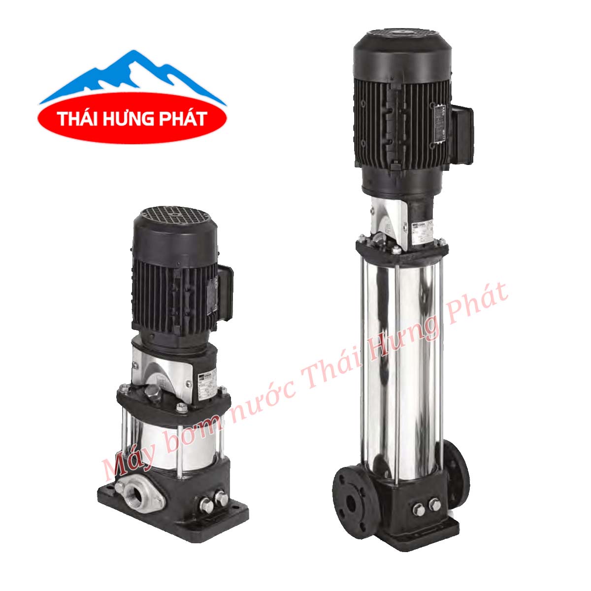 Máy bơm trục đứng Ebara EVMSG10 6F5 Q1BEG E/2.2 3HP