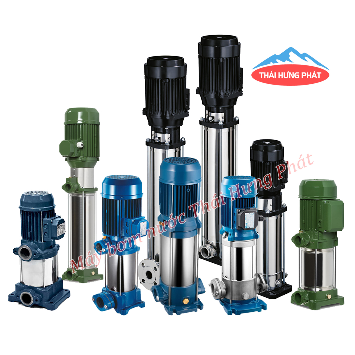 Tổng hợp các dòng bơm trục đứng bán chạy nhất tại Thái Hưng Phát