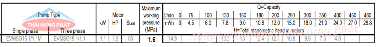 Máy bơm trục đứng Ebara EVMSG 15 1F5 Q1BEG E/1.1 1.5HP