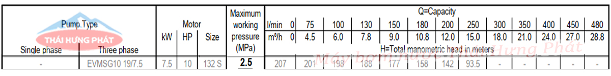 Máy bơm trục đứng Ebara EVMSG 10 19F5 HQ1BEG E/7.5 10HP