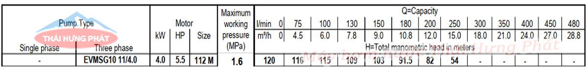 Máy bơm trục đứng Ebara EVMSG 10 11F5 Q1BEG E/4.0 5.5HP