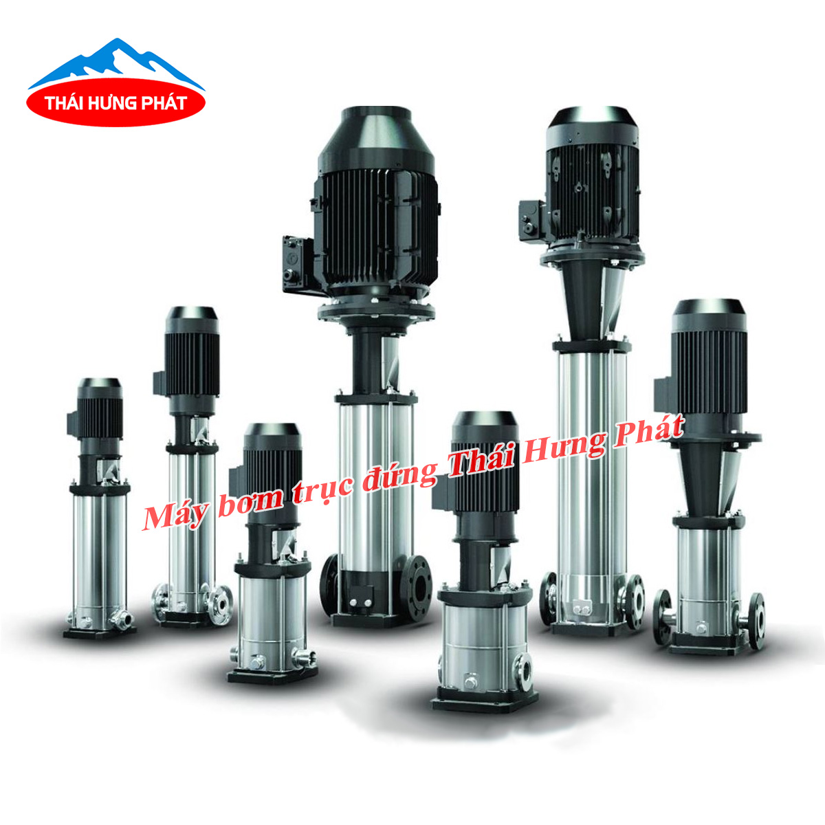 Cấu tạo và nguyên lý hoạt động máy bơm trục đứng Ebara