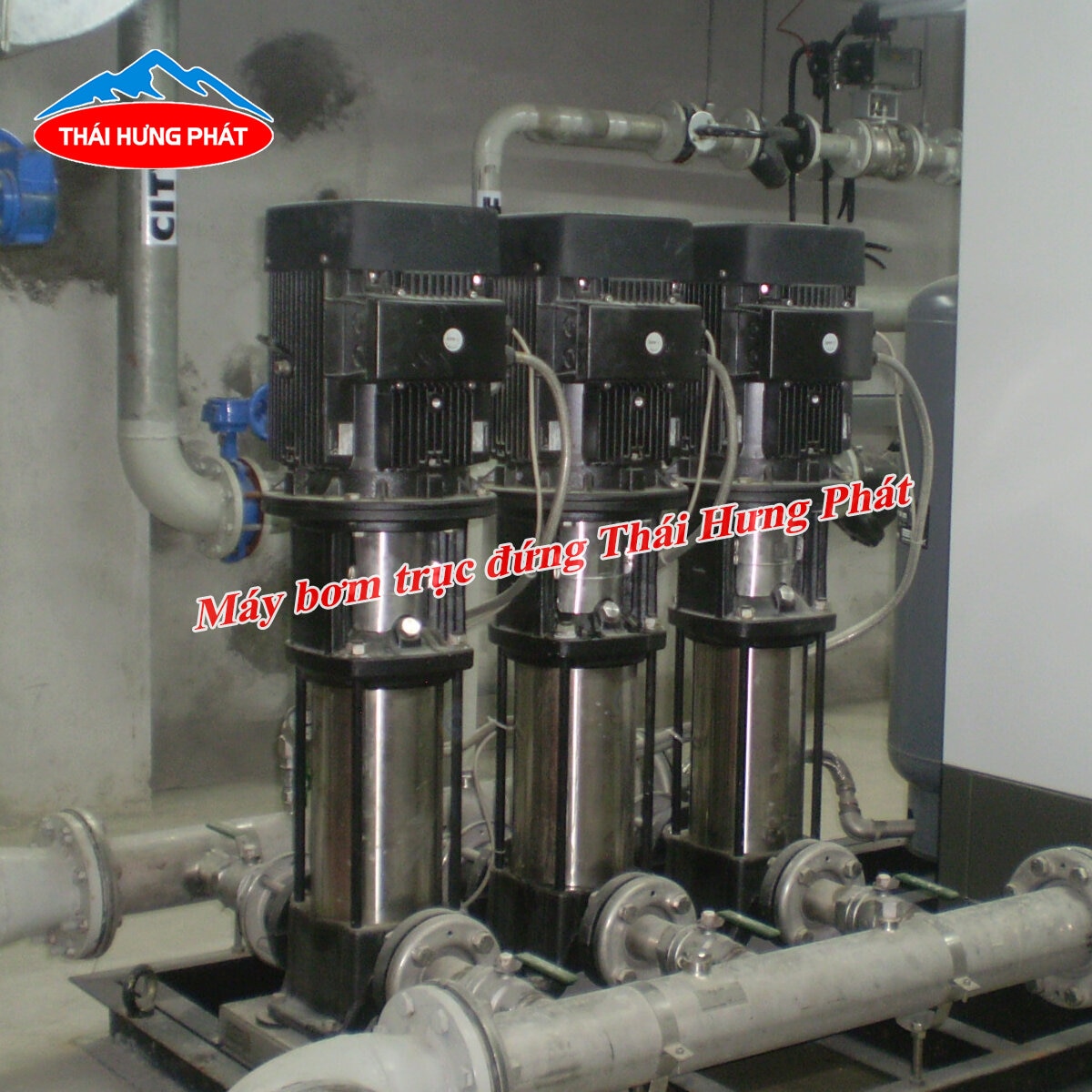 Hướng dẫn lắp đặt máy bơm trục đứng Ebara