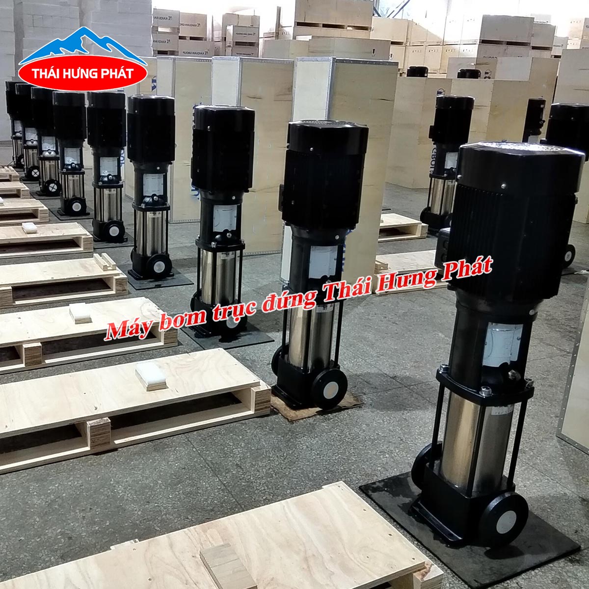 Làm sao để sử dụng máy bơm trục đứng Ebara hiệu quả