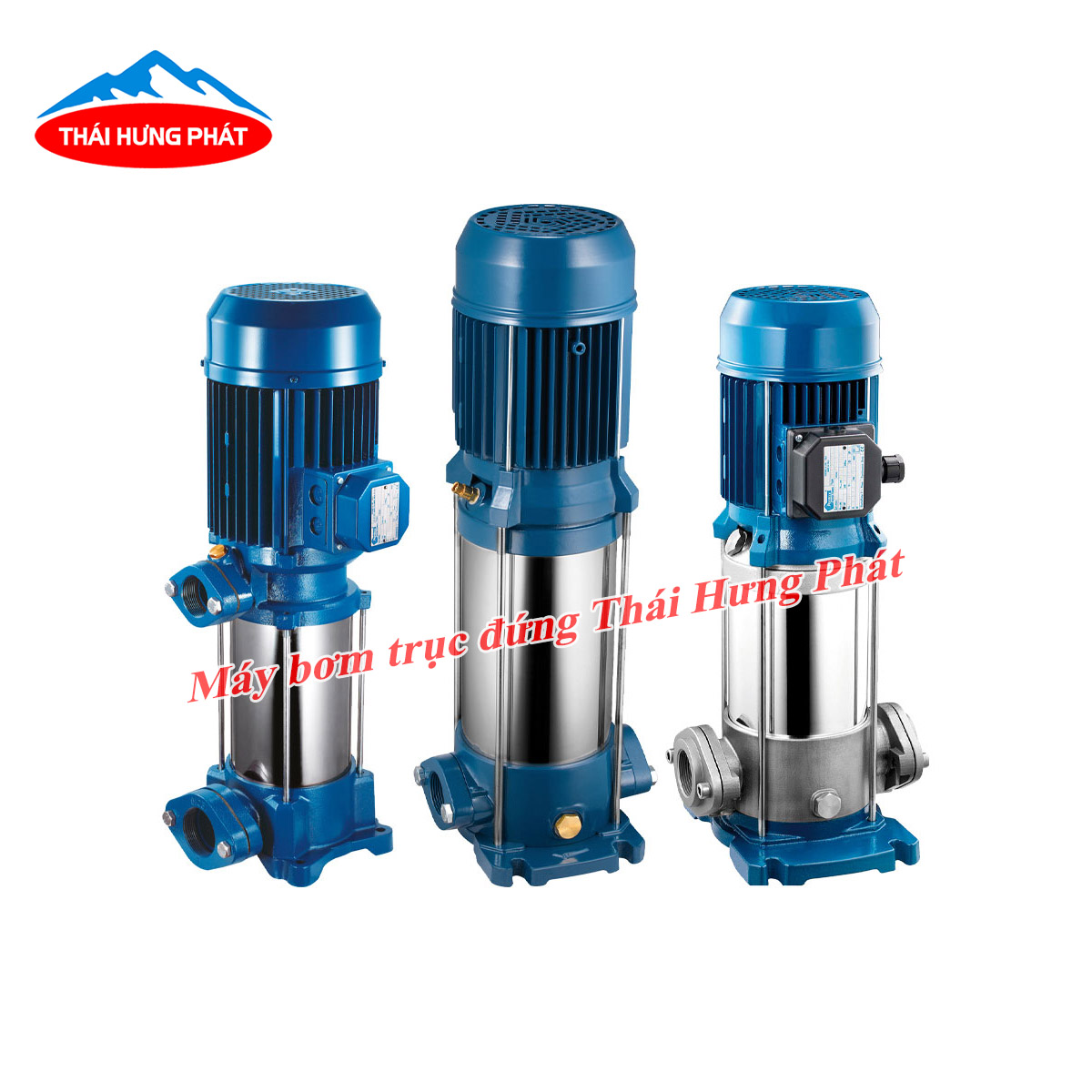 Làm sao để sử dụng máy bơm trục đứng Pentax hiệu quả