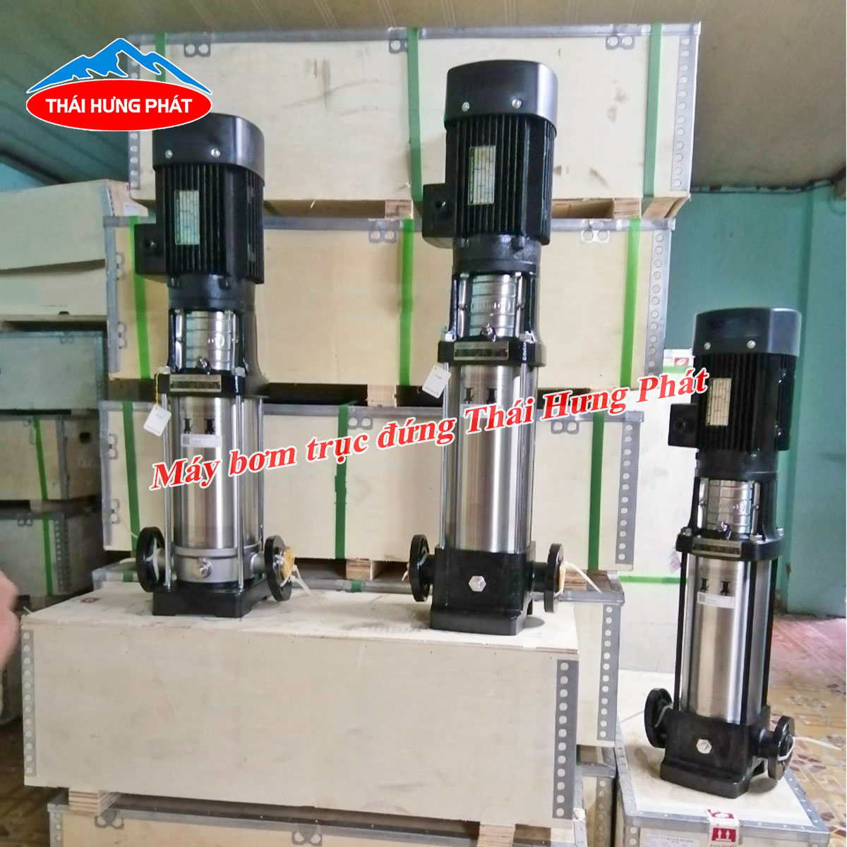 Máy bơm trục đứng nào được sử dụng nhiều hiện