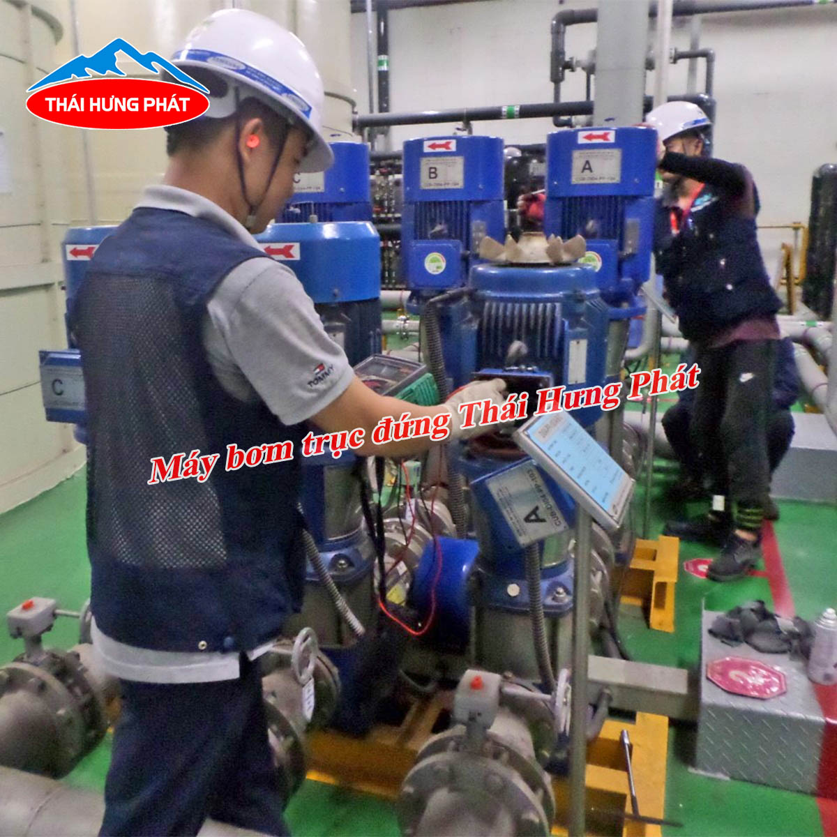 Nên bảo dưỡng máy bơm trục đứng như thế nào