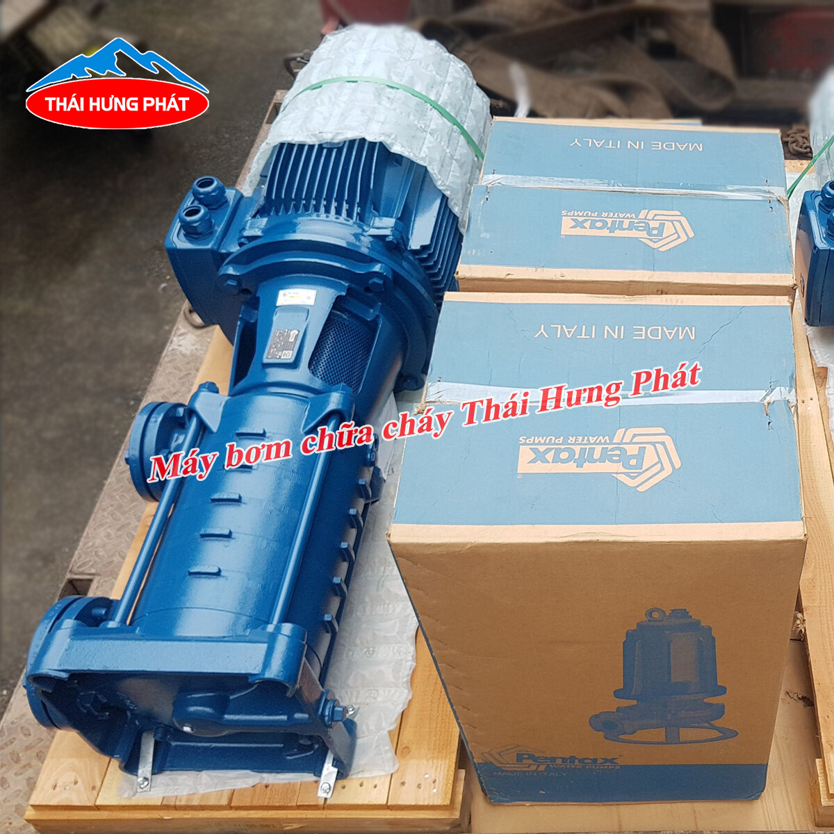 Phân biệt máy bơm ly tâm trục đứng Pentax