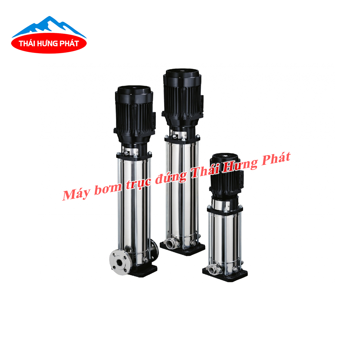 Tìm hiểu về dòng máy bơm ly tâm trục đứng