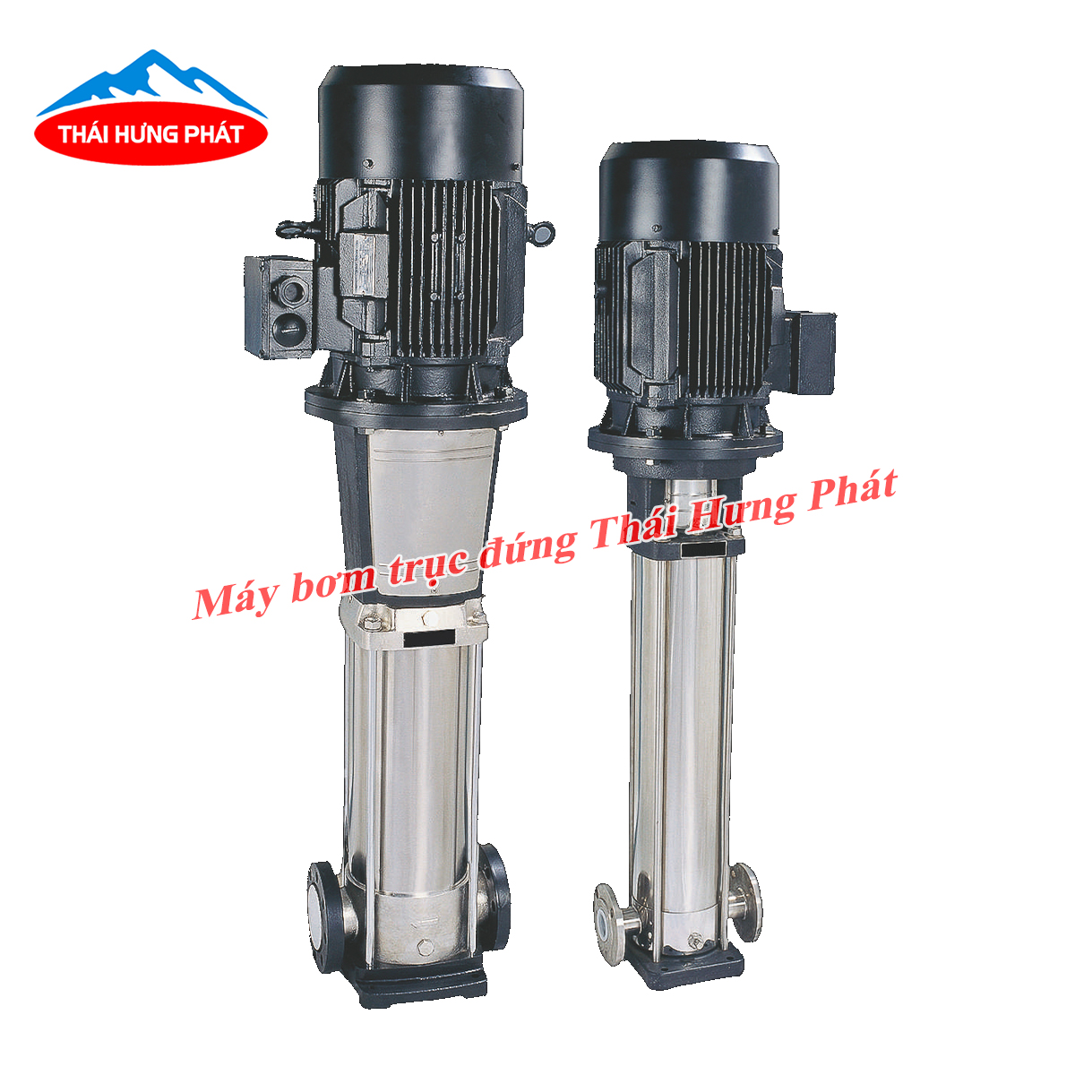 Tìm hiểu về dòng máy bơm ly tâm trục đứng