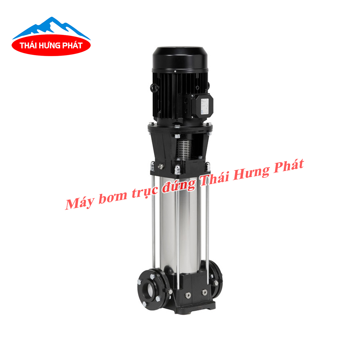 Có nên sử dụng bơm trục đứng không? Một số lưu ý khi sử dụng máy