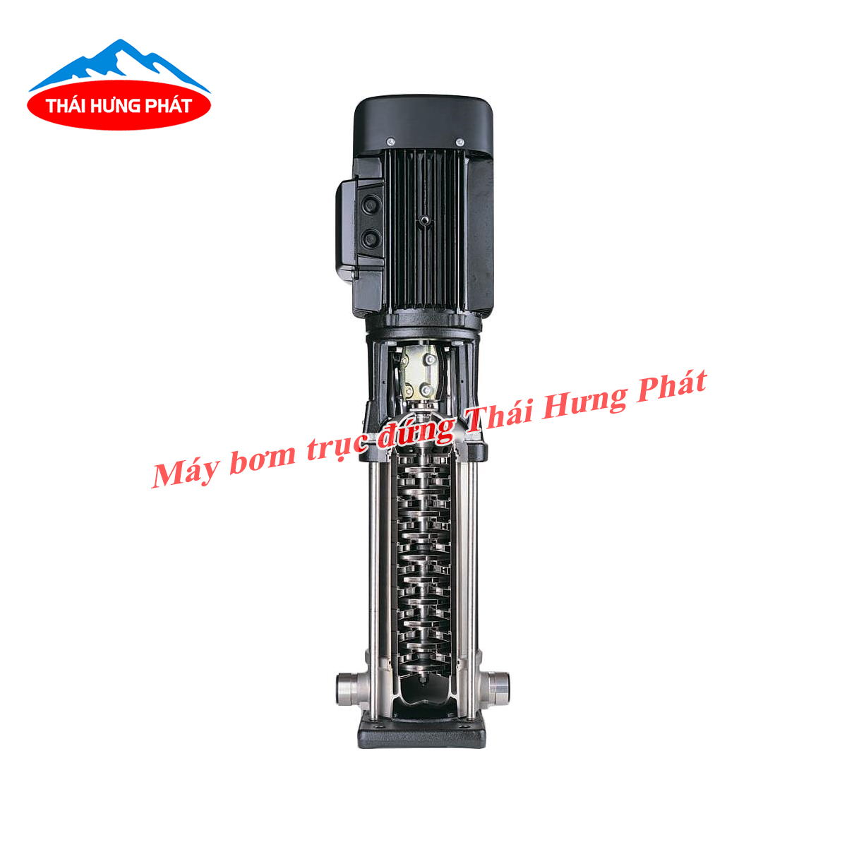 Tìm hiểu về dòng máy bơm trục đứng cánh inox