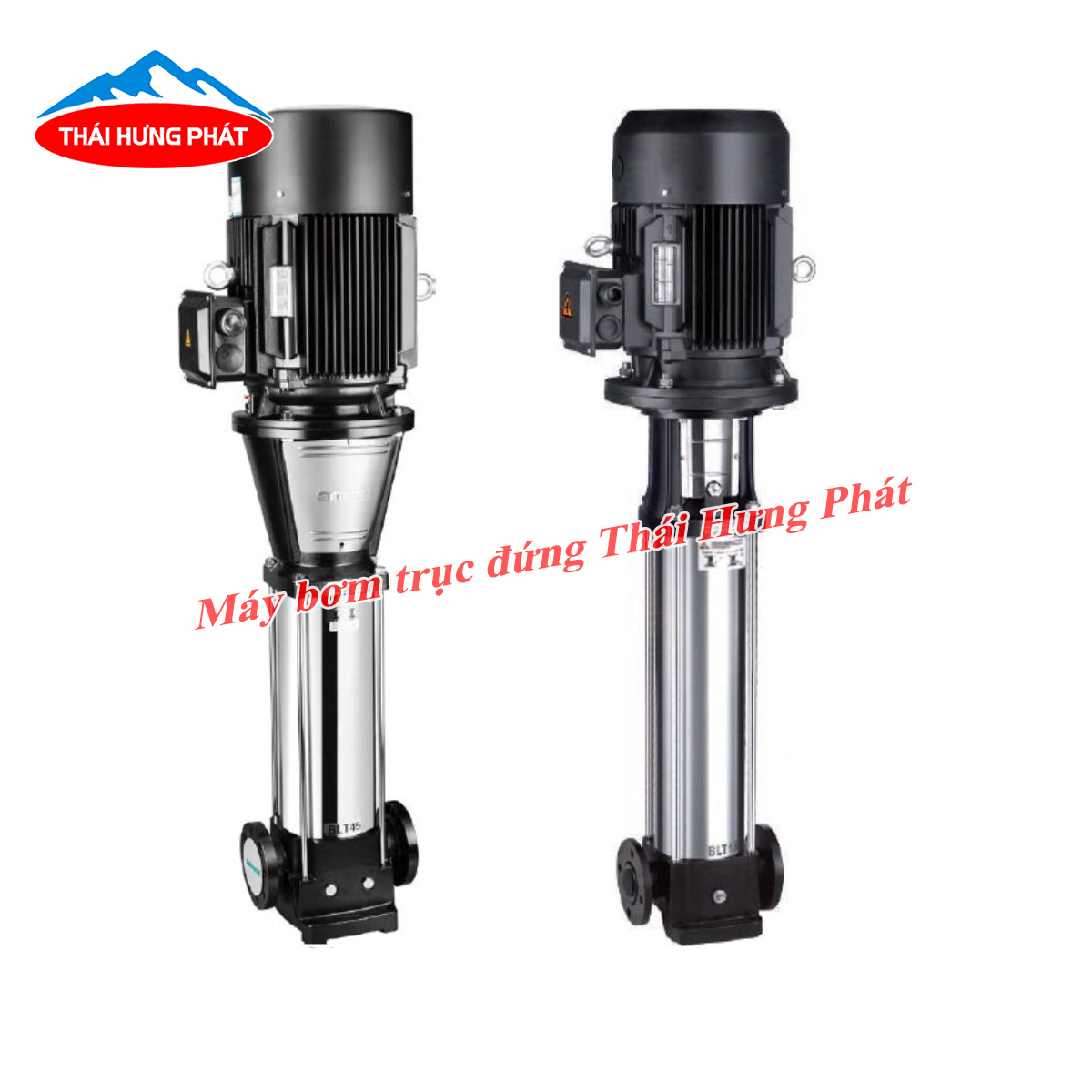 Tìm hiểu về dòng máy bơm trục đứng cánh inox